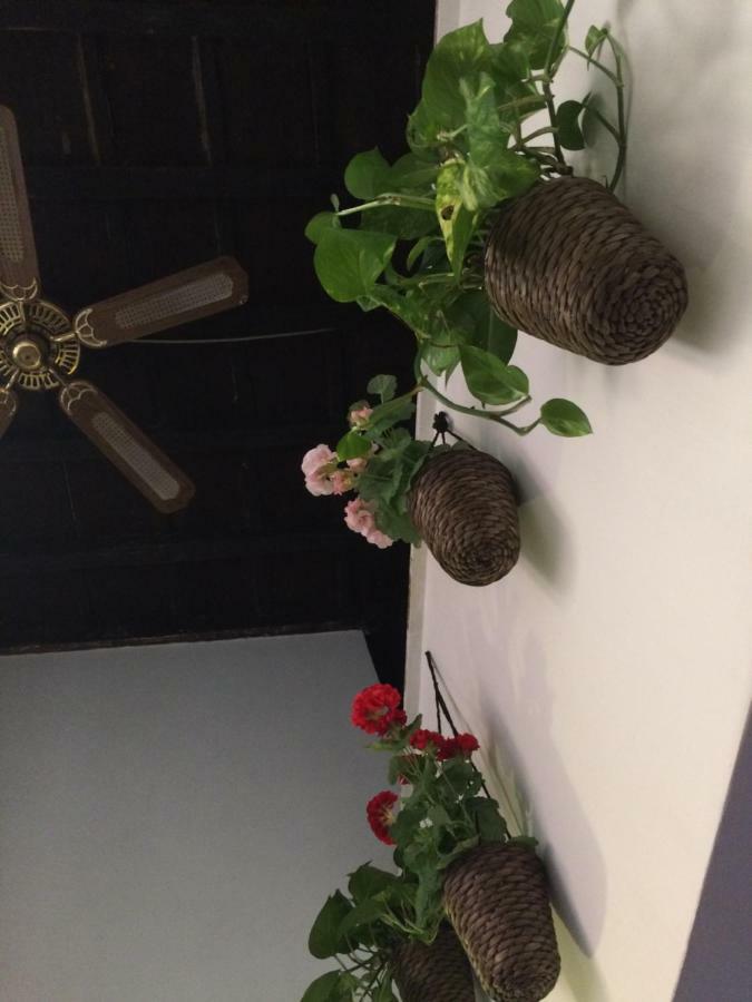 Moroni Trastevere Cozy Apartment Rome Luaran gambar